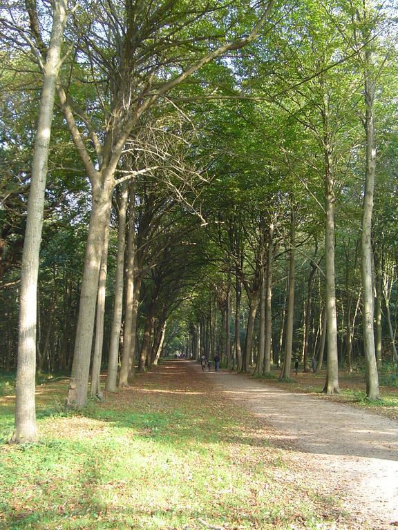 Zand Bed By The Sea Westkapelle Exterior foto